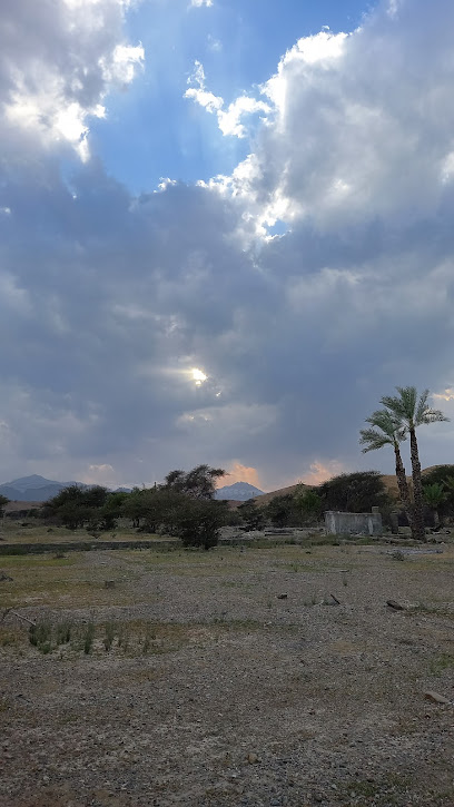 مزرعة المرحوم سويدان بن راشد البادي - Oman|الهشيم،|2QM6+JH