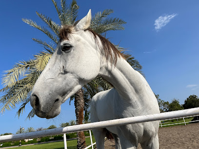 منتزة اليوبيل - صحار -