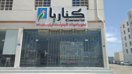 كناريا - السيب -