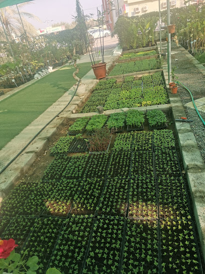 مشتل ابو سالم - Oman|Sohar|Al Qalah St|داور