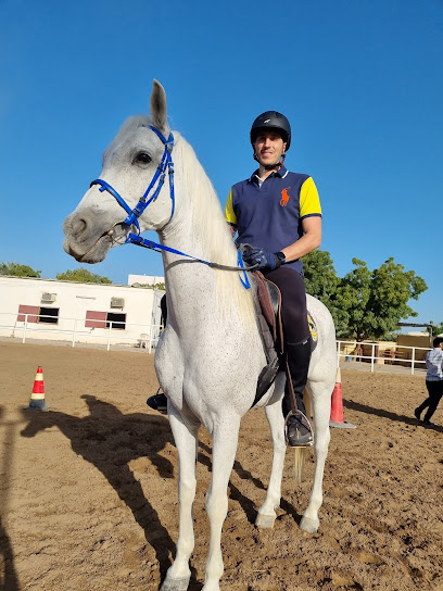 مدرسة الفارس لتدريب الفروسية - Oman|Seeb