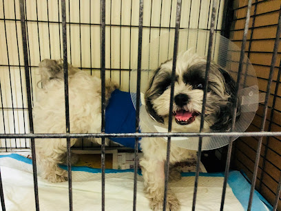 سامافيت (القرم) - مسقط - +968 24 562170