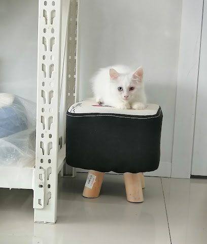 عيادة وصيدلية دار الدواء البيطرية دكتورة إيناس / عيادة دار الدواء البيطرية / صيدلية - صحار - +968 9464 5899