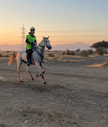 مدرسة المكارم لتدريب الفروسية - السيب - +968 9781 7171