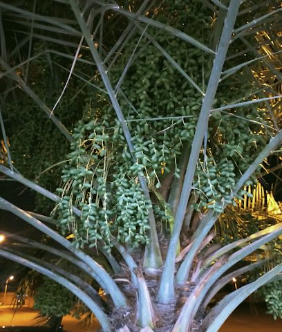 فوتوشوب فلج - صحار - +968 9518 0848