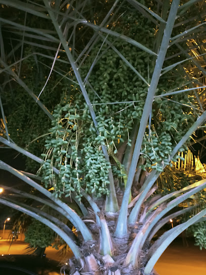 فوتوشوب فلج - Oman|Sohar