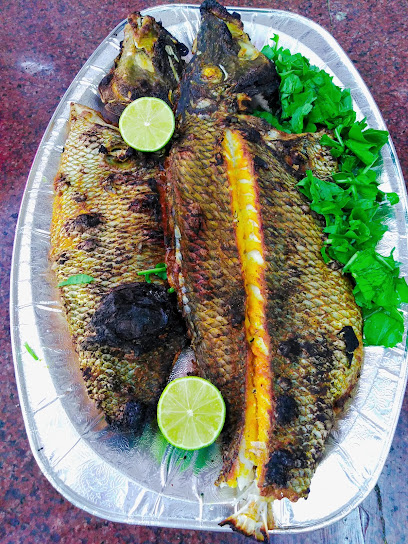 صيد الدار - Oman|Sur