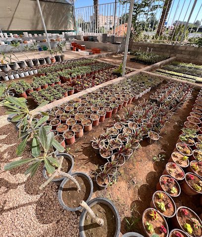 مشتل بارك بارك - صحار -