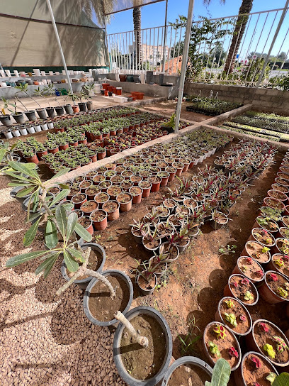 مشتل بارك بارك - Oman|Sohar|ولاية صحار،|9P27+C9M