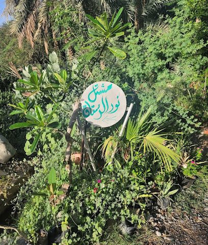 مشتل نور الرستاق - الرستاق - +968 9857 9743