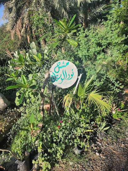 مشتل نور الرستاق - Oman|Rustaq 400|FFR3+H4J