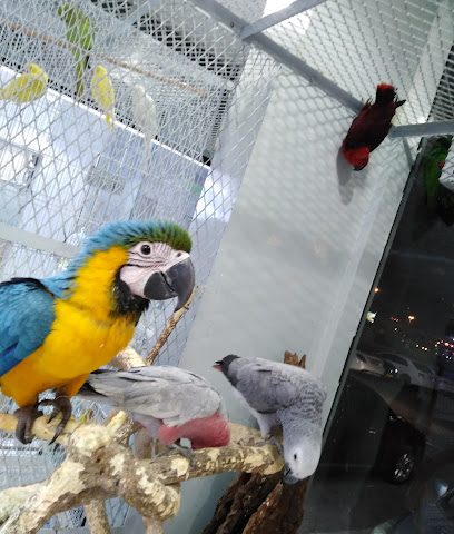 عالم الحيوان القرم - مسقط - +968 9170 5166