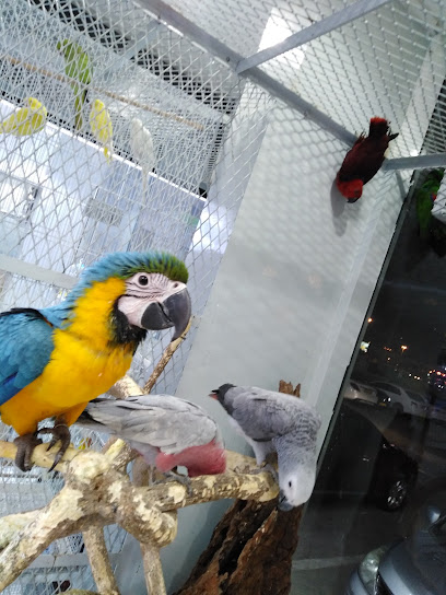 عالم الحيوان القرم - Oman|116|Qurum plaza Muscat OM