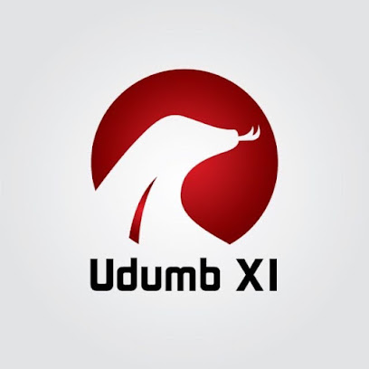 أرض فريق Udumb XI - السيب - +968 9280 2262