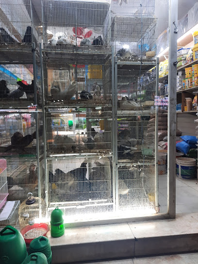Pet Shop Ruwi عبق السدر لتجارة الحيوانات و الطيوز - Oman|Muscat|Souq Ruwi St|HGMV+23G