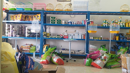 عالم الجمال لبيع الطيور والزهور والحيوانات - عبري - +968 7905 0617