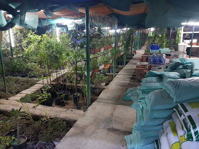 زراعة نباتات الزينه ومشتل زراعي - سمائل - +968 7130 3273