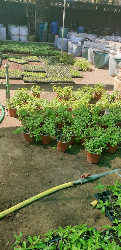 مشتل ابو عماد مشتل ابو عماد - Oman|Seeb|M627+V7R