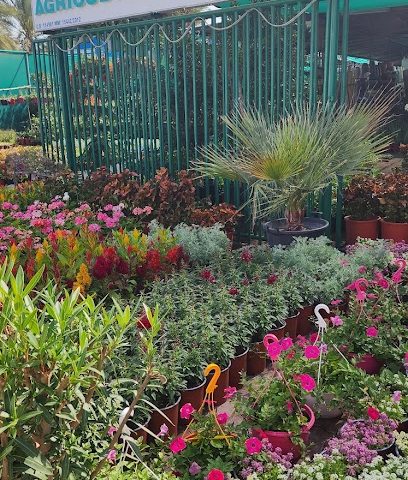 حضانة وادي اللويامي - السيب - +968 24 071000