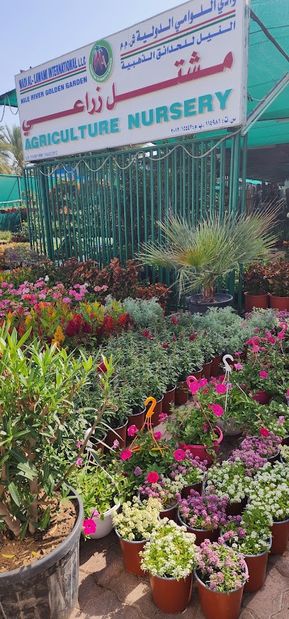 حضانة وادي اللويامي - Oman|Seeb|M4HQ+XVC