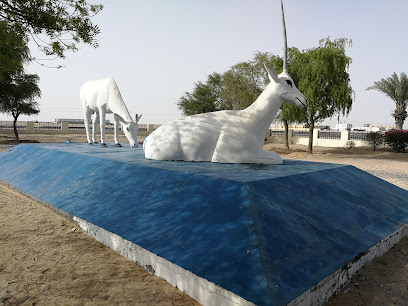 حديقة هيما العامة - هيما -