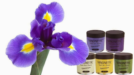 مغناطيس نيلز عمان - مسقط - +968 9247 5451