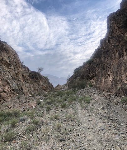 ملعب فريق وجمة الرياضي - نيد -