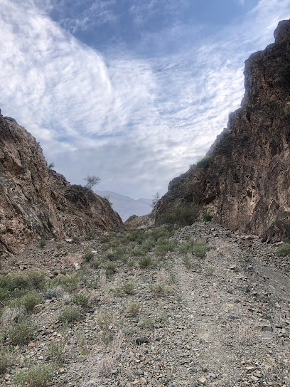 ملعب فريق وجمة الرياضي - Oman|An Nid|68M9+8JR