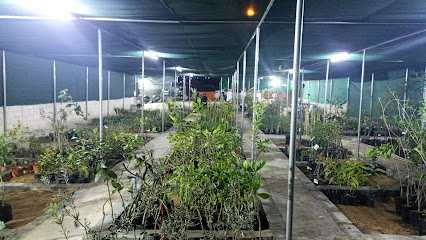 مشتل أرزاق الخير - الخوبار - +968 9441 4577