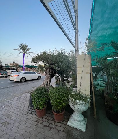 خدمات التنمية العامة - السيب -