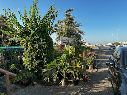 مشتل زراعي - مسقط -