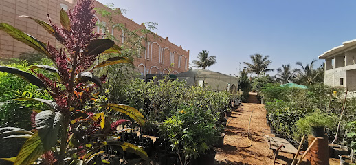 مشتل الكادي بالقوف - صلالة - +968 7181 5000