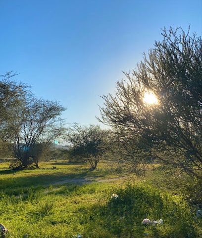 منتزه الجيلة الطبيعي - سمائل -