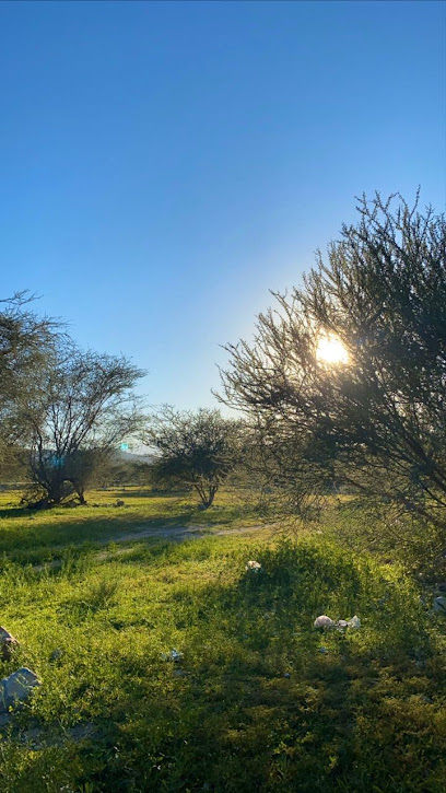 منتزه الجيلة الطبيعي - Oman|Samail|82W3+FG8