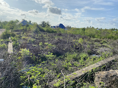 مؤامرة عبودونيا - لا شيء سوادي OM -