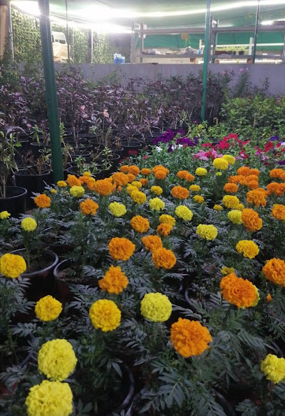 مشتل زراعي - Oman|Al Masnaah|Unnamed Road