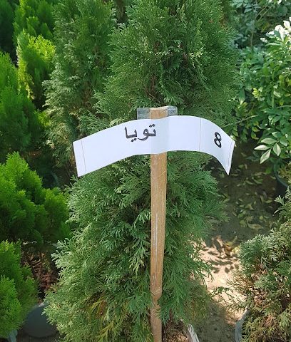 مشتل الآفاق - السيب -