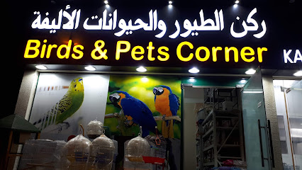 ركن الطيور و الحيوانات الأليفة - مسقط - +968 9190 1130