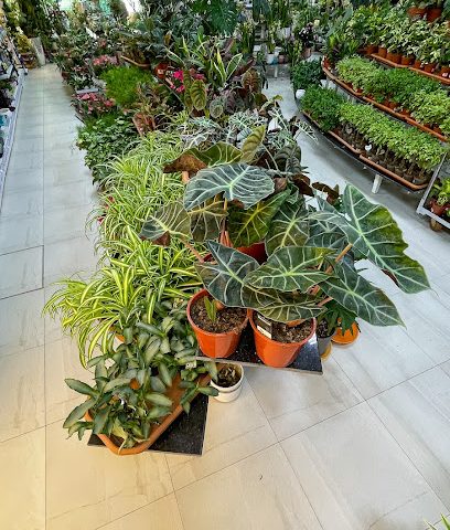 الجنان | الجنان - السيب - +968 9099 1133