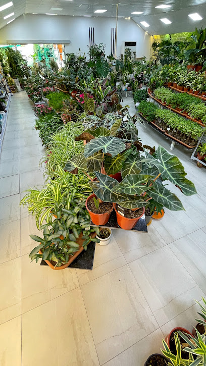 الجنان | الجنان - Oman|Seeb|Nurseries Road|Al Adiyat St