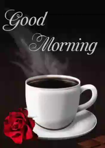 مطعم طارق نجيب - Oman|Sohar|Sanniya Road|8MRV+V8Q