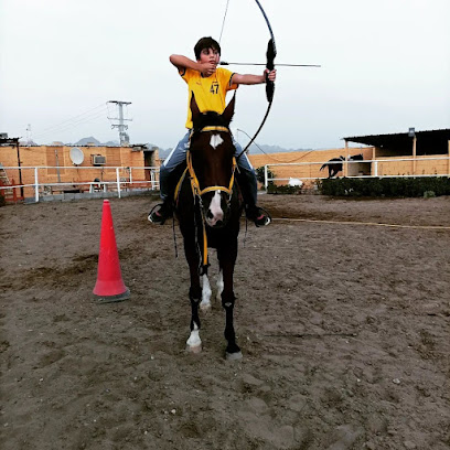 إسطبل الشرياني - ولاية الرستاق ، - +968 9356 2286