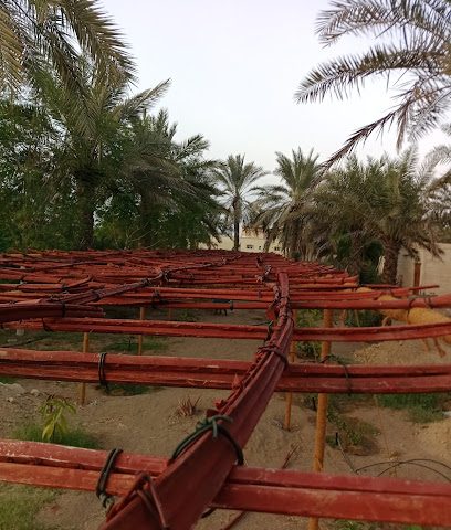 مزرعة دجاج ، حديقة - الخابورة - +968 9876 8474