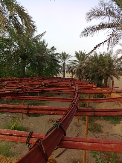 مزرعة دجاج ، حديقة - Oman|Al Khaburah|https://www.instagram.com/reel/CjVpULlJjwe/?igshid=YmMyMTA2M2Y=