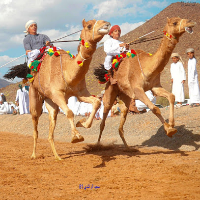 مركاض عرضة الهجن بولاية بدبد - بدبد -
