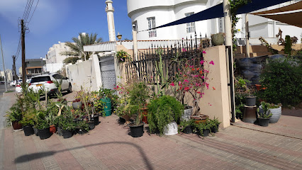 الحديقة الفريدة الحديقة الفريدة لبيع الاصايص - مسقط - +968 9843 3979