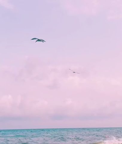 فيزيوبرو - صلالة -