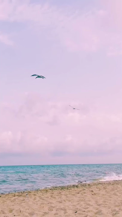 فيزيوبرو - Oman|Salalah|Al Saada Street، صلالة،،|25PC+X78