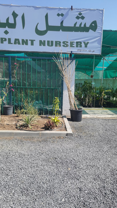 مشتل الباسقات - Oman|Nizwa|Farq