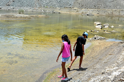 بركة ماء على طريق صاع - الحميدة -